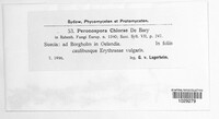 Image Associated With the Occurence